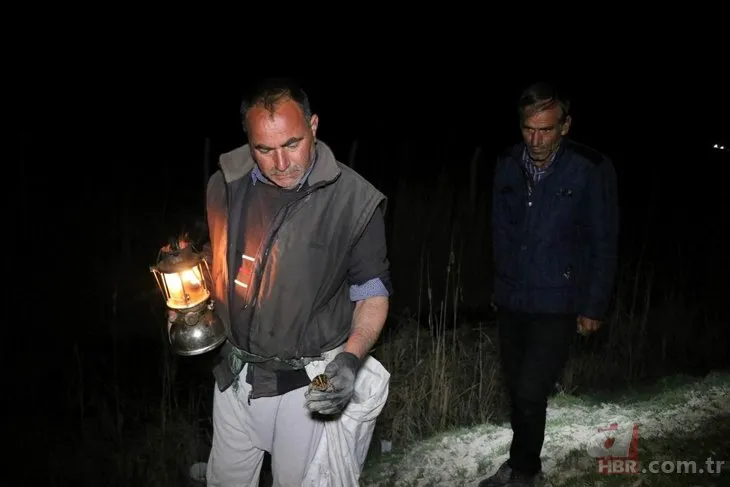 Avcılar gaz lambalarıyla gecenin karanlığında kurbağa avına çıktı