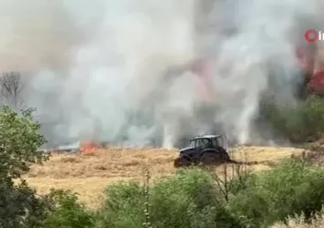 Diyarbakır’da 300 dönüm ekili buğday yandı