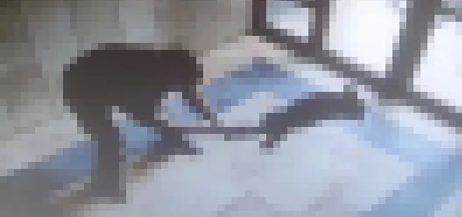 Başakşehir'de kedi katliamı! Cani adamın ifadesi ortaya çıktı: Can düşmanım olarak gördüm