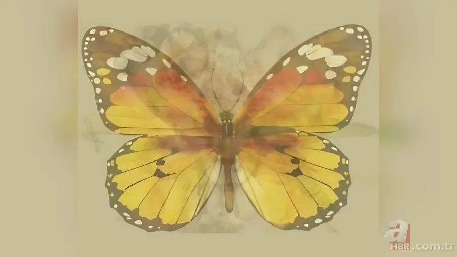 Kişilik testi: İlk fark ettiğiniz hayvan karakterinizin kodlarını veriyor 3