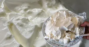 Mayasız olur mu demeyin!