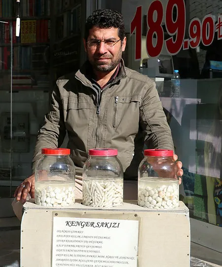Kenger sakızının kilosu altınla yarışıyor - 2