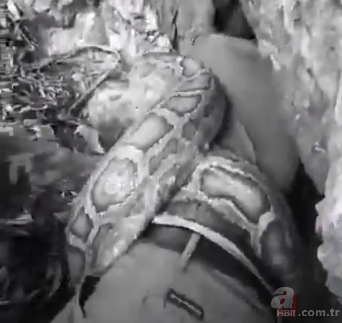 Anakonda ormanda insana saldırdı 🐍 Tam mağaraya götürürken... 21