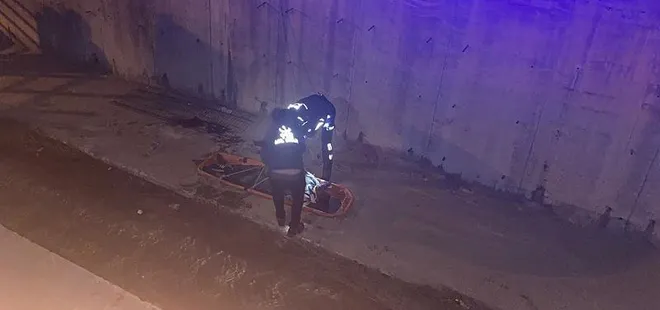 Antalya'da derede yaralı halde bulundu