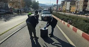 Bilecik’te acı olay! Yaşlı kadın can verdi