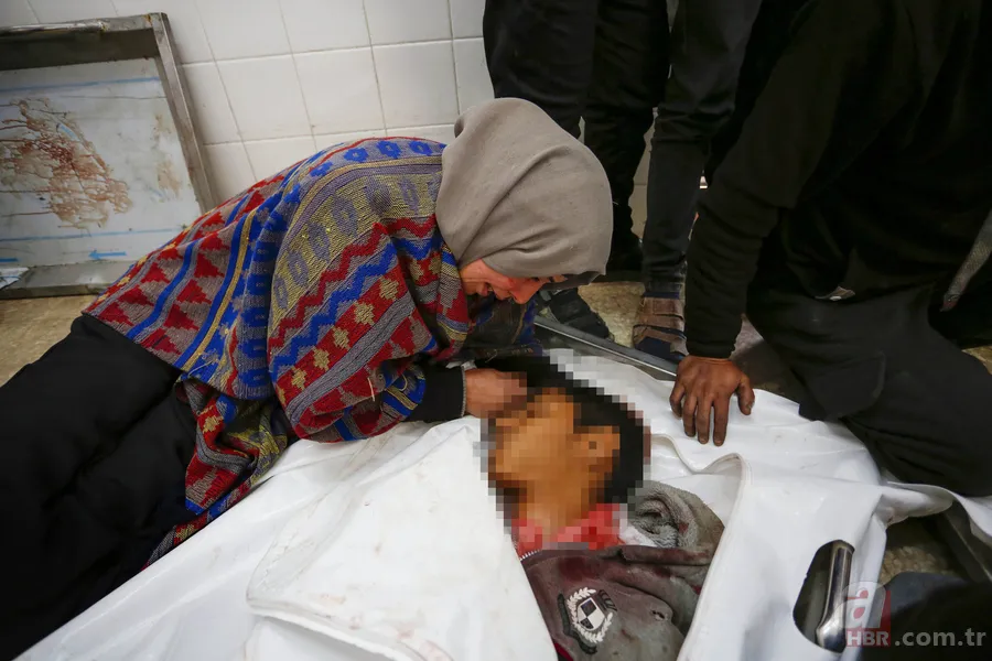 ABD Başkanı Trump peşinde: Putin Grönland için fiyat verdi 4