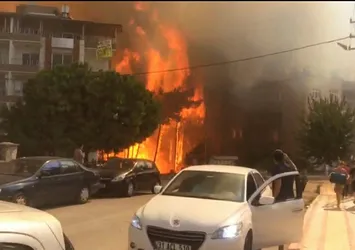 MHP'li Vahapoğlu'ndan sert açıklama: Orman yangınlarında fail belli...