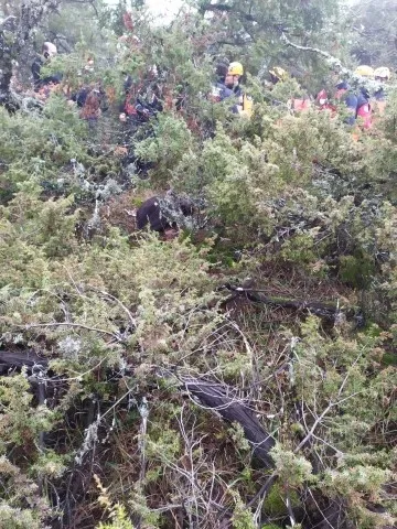 Son dakika: Bursa'da aranan yaşlı adamın cansız bedeni secde eder vaziyette bulundu - 2