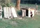Vicdansız! Çocukların çığlıkları kulaklarınızı delecek