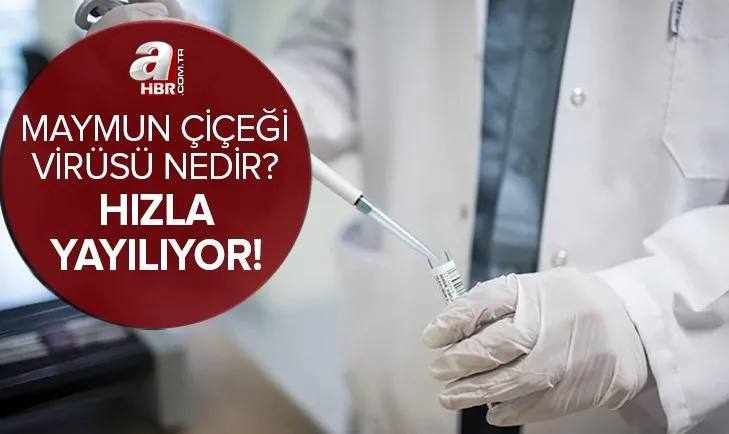 Hızla yayılıyor! Maymun çiçeği virüsü nedir, Türkiye’de görüldü mü? Hangi ülkelerde çıktı? Belirtileri neler, tedavisi var mı?