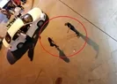Gören sokağa koştu!