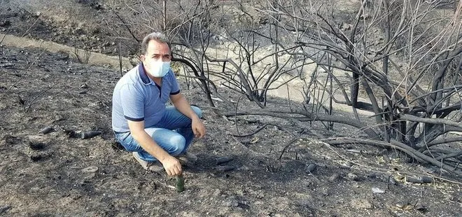 Son dakika: Türkiye’nin gündemine oturmuştu! Hatay yangını bölgesinde skandal yazı: ’Ne varsa yansın’
