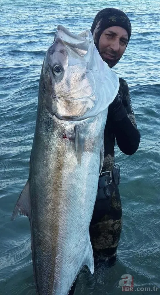 Tüpsüz dalışta, boyu büyüklüğünde balık avlıyor 5