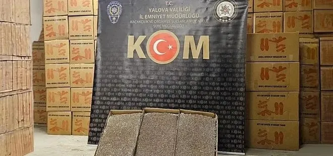 Yalova’da 3 milyon adet dolu makaron ele geçirildi