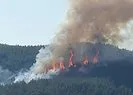 Burdur’da orman yangını çıktı