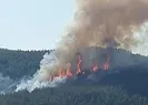 Burdurda orman yangını çıktı