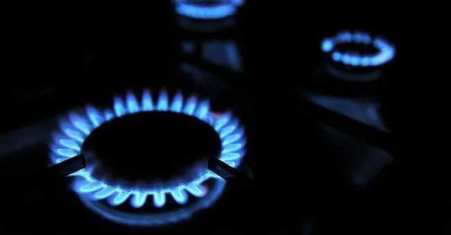 Doğalgaz dağıtım şirketleri HES kodu uygulamasına başlıyor - 1