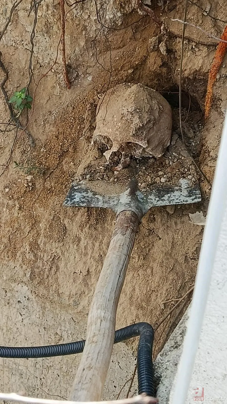 Site bahçesinden dehşet çıktı Tüyler ürperten manzara: Çocuklar korkudan dışarı çıkamıyor 4