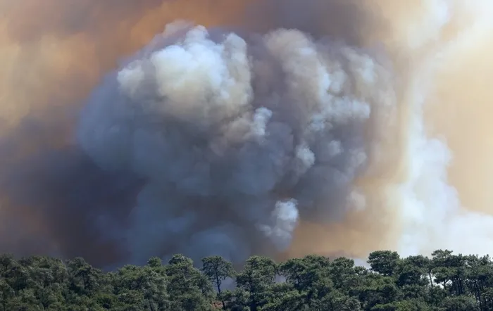 Son dakika: Türkiye’nin birçok yerinde ormanlara girmek yasaklandı! İşte o iller...