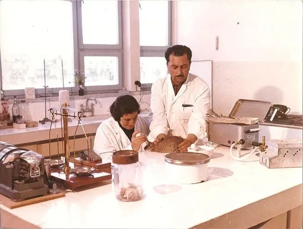 Sabire Aydemir kimdir? Sabire Aydemir neden doodle oldu?