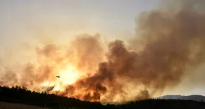 Milas’taki orman yangınında ’sabotaj’ şüphesi