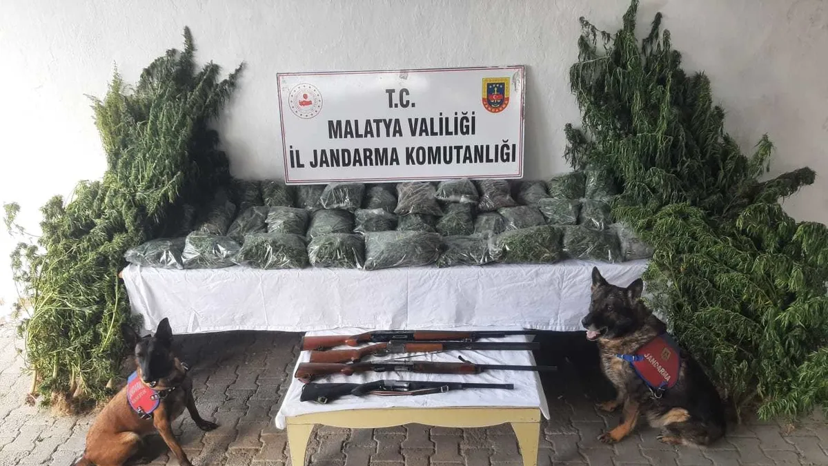 Malatya'da uyuşturucu operasyonu: 5 gözaltı