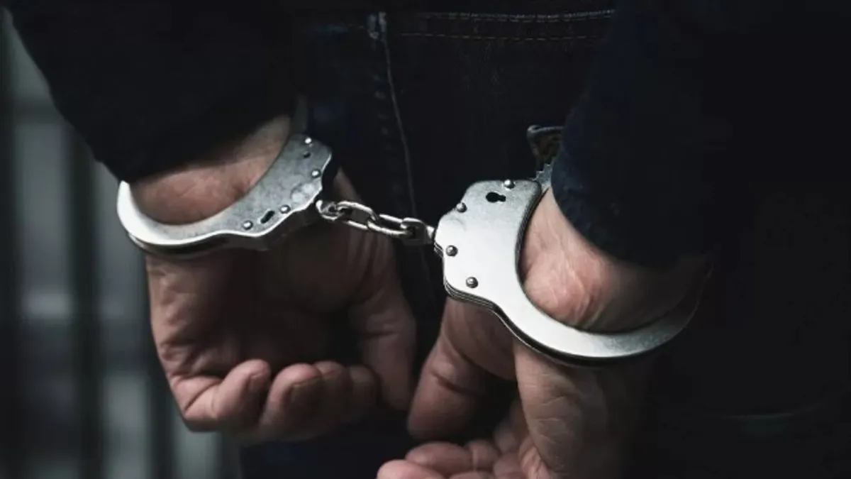 Muğla'da orman yangını çıkaran şahıs tutuklandı!