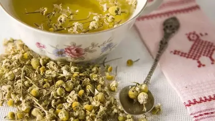 Papatya çayı neye iyi gelir? İşte bilinmeyen faydaları...