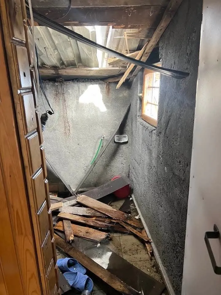 Kış uykusu bitti, ayı istilası başladı Doğu Karadeniz yaylalarında ayı tehlikesi tırmanıyor - 5