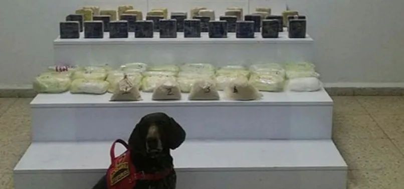 Van'da 33 kilogram uyuşturucu ele geçirildi