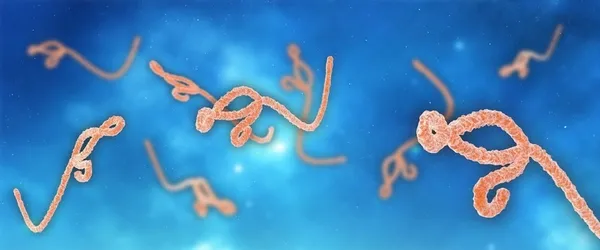 bilim-insanlarindan-salgin-uyarisi-yeni-bir-virus-turu-kesfedildi-1605598617741.jpg Bilim insanlarından salgın uyarısı! Yeni bir virüs türü keşfedildi... - 7