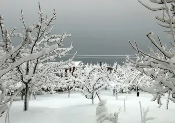 Meteoroloji'den kar ve çığ uyarısı