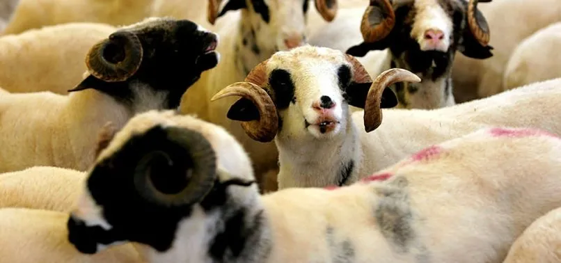 kurban keserken okunacak dualar