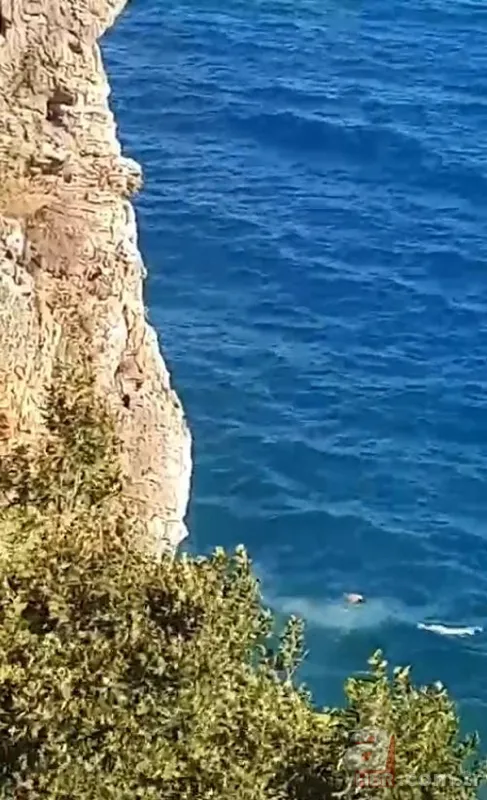 Herkes öldü sandı! 40 metre yükseklikten denize atlayan genç paniğe neden oldu 2