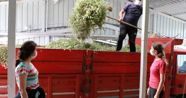 Bu yağın litresi 40 bin lira! Üreten paraya para demiyor! Yok böyle kazanç...