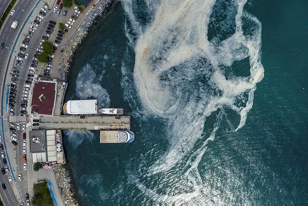 son-dakika-karar-resmi-gazetede-yayimlandi-marmara-denizi-eylem-plani-koordinasyon-kurulu-kuruldu-1623542214044.jpeg Resmi Gazete'de yayımlandı: Müsilaj sorununa devlet müdahalesi! Eylem Planı Koordinasyon Kurulu kuruldu