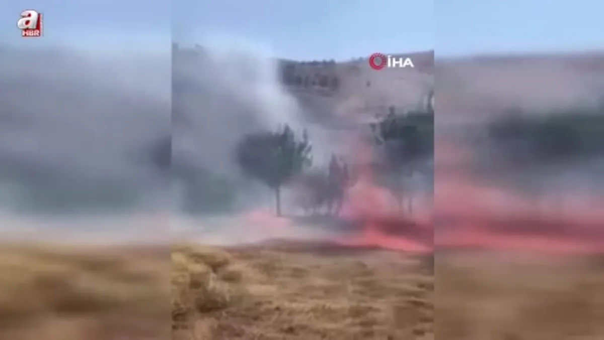 Siirt’te çay için yakılan ateş fıstık ağaçlarını küle çevirdi