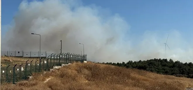 Urla’da orman yangını: Alevler kontrol altına alındı