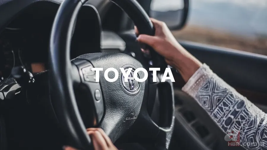 En çok satanları açıklandı! İşte 2025’in tercih edilen araba markaları: BYD, Renault, Hyundai... 11