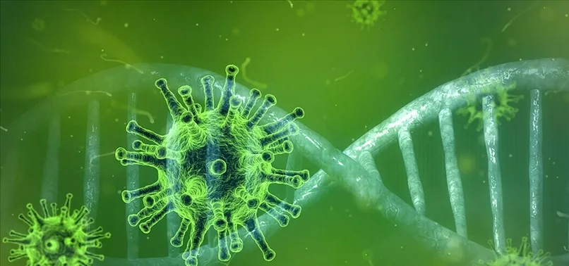 Yeni virüs paniği! Kır farelerinden insanlara geçiyor! Langya virüsü nedir? LayV virüsü belirtileri nelerdir?