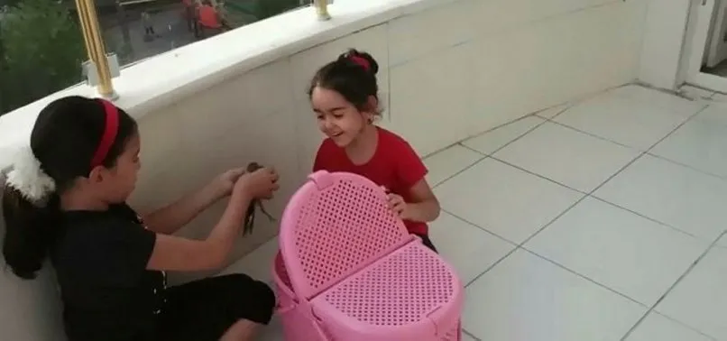 Adıyaman’da küçük kardeşler yaralı yavru kuşu besleyip doğaya bıraktı