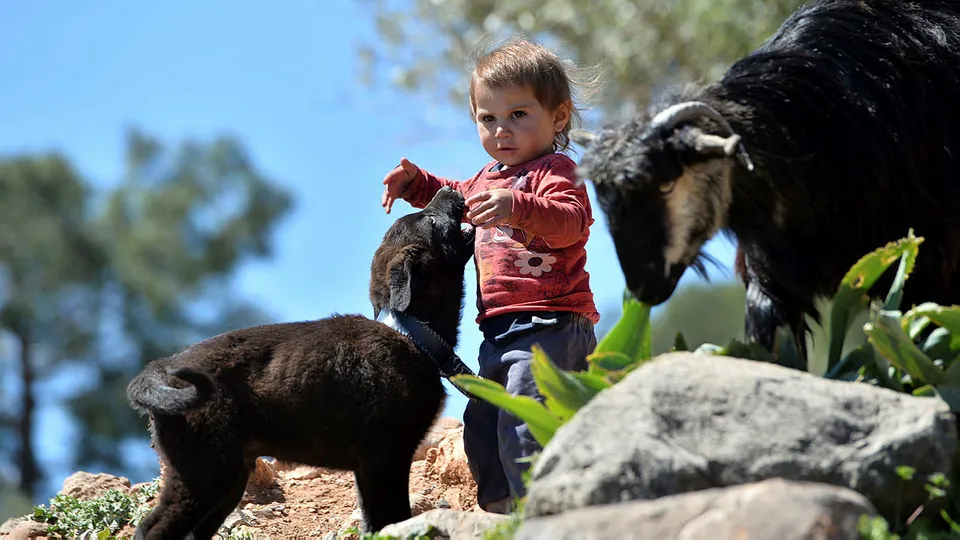 Mersin Silifke'de yörüklerin masal gibi hayatı