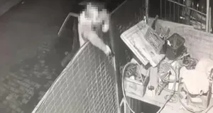 Köpeğe önce ateş etti sonra değnekler fırlattı