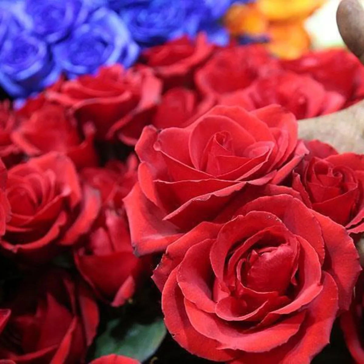 Uzman psikolog uyardı: Sevgililer Günü hediyelerle sınırlı kalmamalı