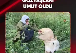 GÖZYAŞLARI UMUT OLDU