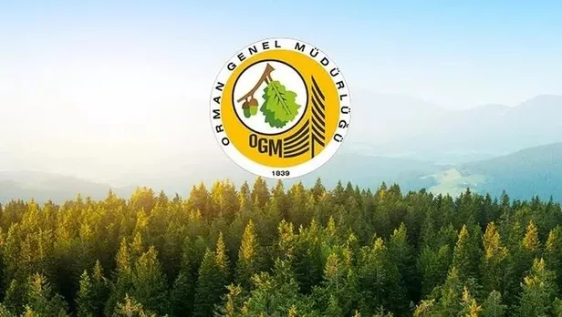 Orman Genel Müdürlüğü personel alımı başvuruları başladı mı? OGM 1.613 personel alımı başvuru şartları nelerdir?