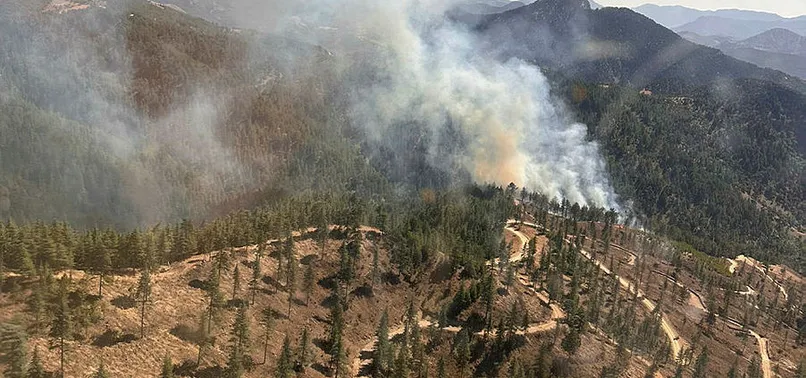 Son dakika: Edirne, Adana, İzmir, Kahramanmaraş ve Balıkesir’de orman yangını! Çok sayıda ekip sevk edildi