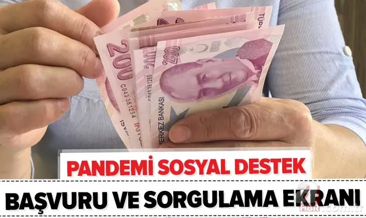 Pandemi başvuru sonucu nasıl öğrenilir? 3. faz 1000 TL sosyal yardım e-Devlet başvuru ve sorgulama ekranı 1