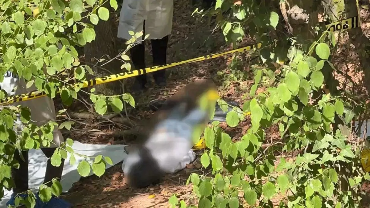 Sarıyer'de sır ölüm! Başına çöp poşeti geçirilmiş ceset bulundu! Rusça yazılı not detayı