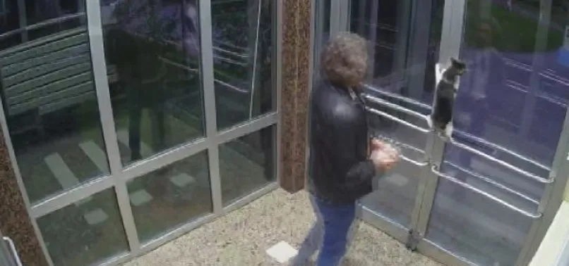 İstanbul’da kediye dakikalarca işkence etmişti! Yeni skandalı dehşete düşürdü